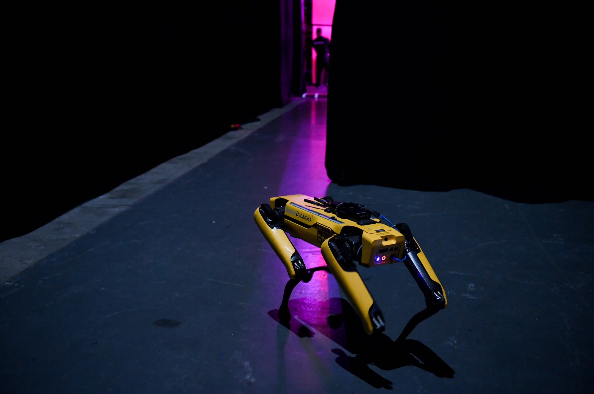 Boston Dynamics SpotMini quadruped standing on a lit stage at Web Summit 2019 in Lisbon